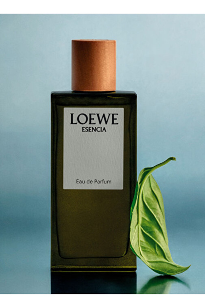 Loewe Essencia EDP 100 ml Erkek Parfüm - Fiyatı, Yorumları