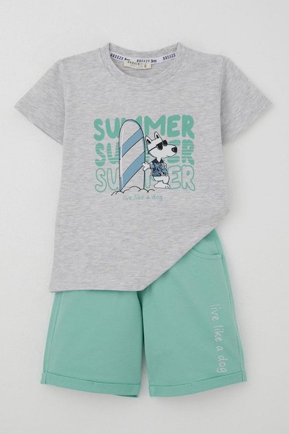 Boy's Shorts Set Summer Themed Surfer Puppy Printed 2-6 Years, Light Gray Melange