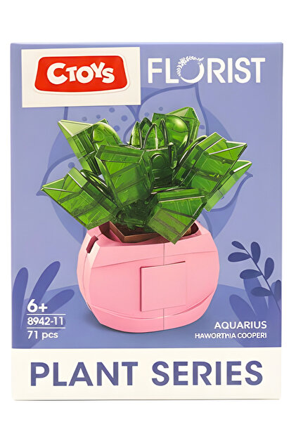 CToys Florist Burçlar Saksılı Bitki Yapım Seti Aquarius 8942 11