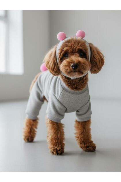 Ponpon Şeker Köpek Tulumu & Bere Takımı | Şardonlu Polar Kumaş | Küçük Irk Köpekler İçin | Tüy Dökül