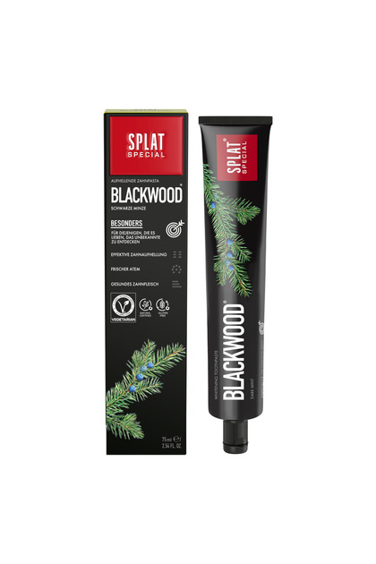 Special BLACKWOOD Natural Toothpaste 75ML