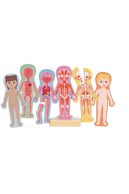 Human Body Parts Magnetic Learning Puzzle, 68 pcs