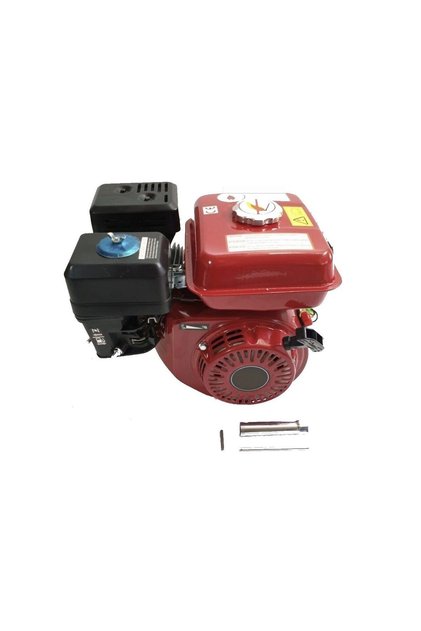 Motor uz general 6.5 CP ax 20 mm drept cu pana