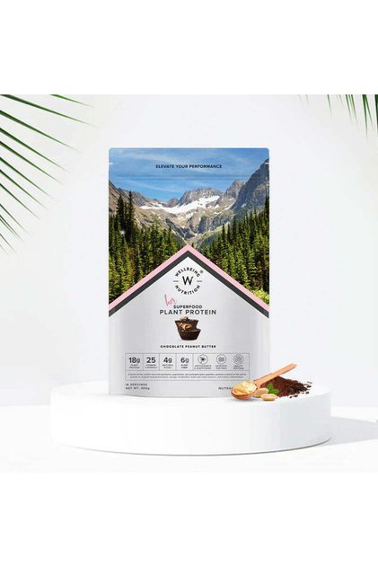 Organic Vegan Plant Protein Powder 500 G Peanut Butter