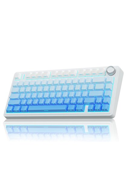 Aula F75 Mekanik RGB TKL Seiya Switch Kablosuz Makrolu Hot Swap