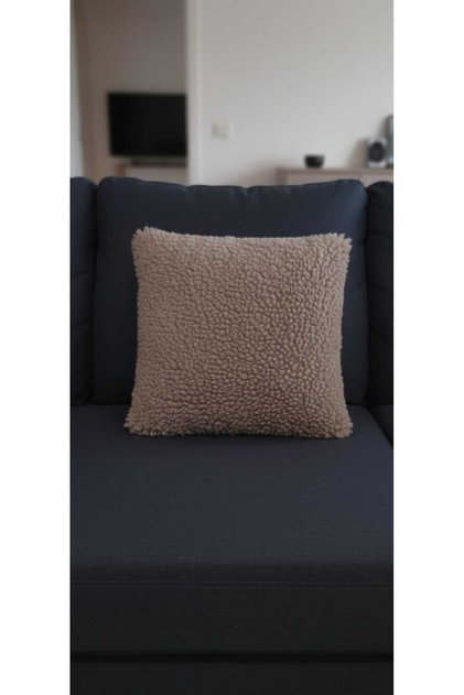 Decorative Plush Cushion