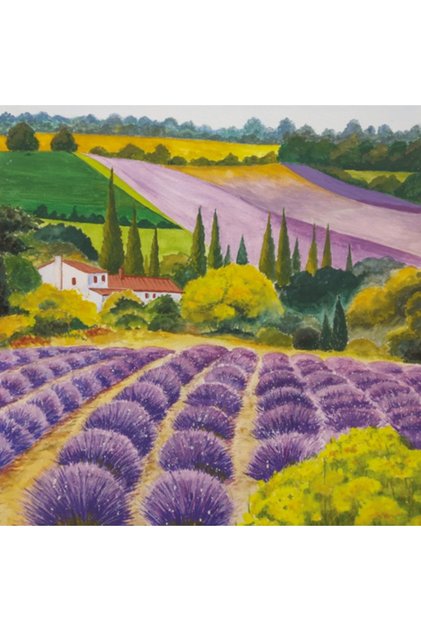 SCENIC LAVENDER FARM DESENLİ KAĞIT PEÇETE