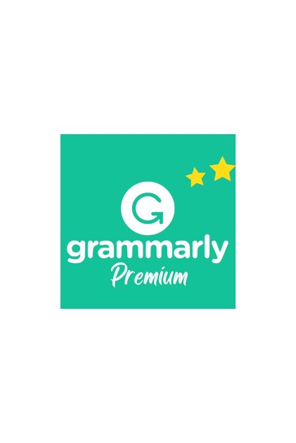 Premium 1 Yıl - Dijital Lisans - Hesap