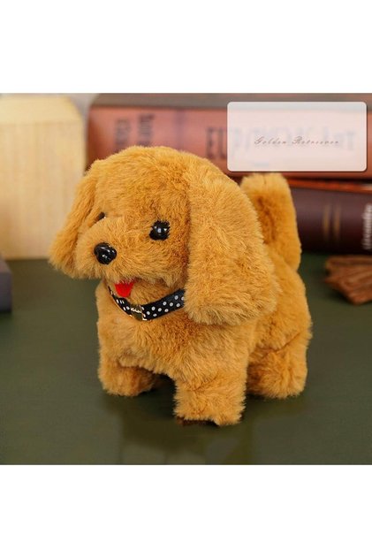 Yürüyen Havlayan Kuyruğunu Sallayan Köpek
