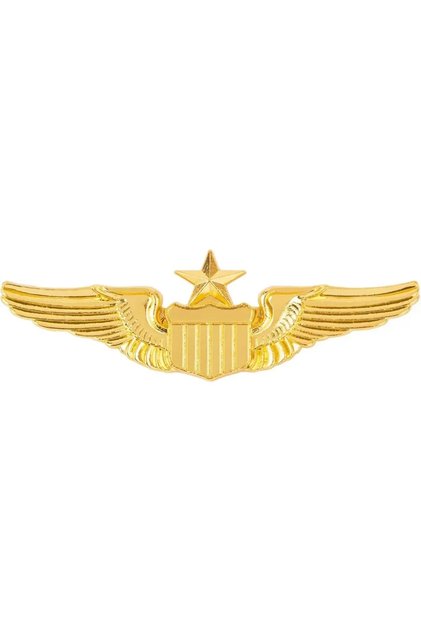 golden New 1/2/6pcs Pilot Wing Badge Gold Metal,Electroplated Metal Wing Badge Brooch,Metal Aviator