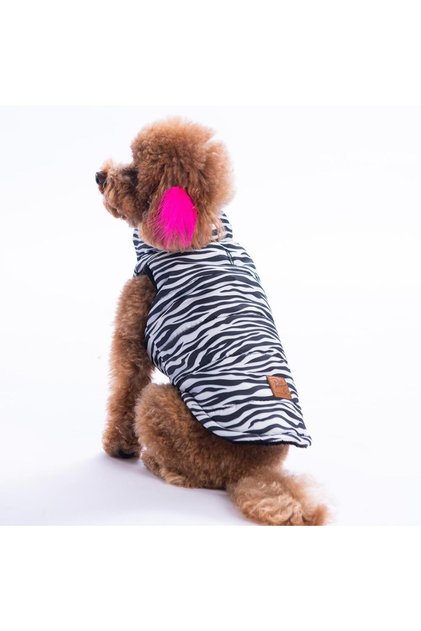 Lodwar Street Zebra Pattern Vest Dog Vest Dog Outfit Dog Raincoat