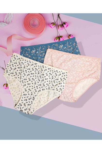 Women'S Dutch Blue 3 Pack Printed Full Briefs