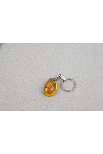 Scorpion Fossil Keychain -Type B