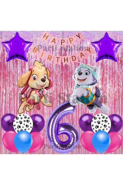 Paw Patrol Skye and Everest Concept 6 Year Old Birthday Pink Tassel Party Balloon Set