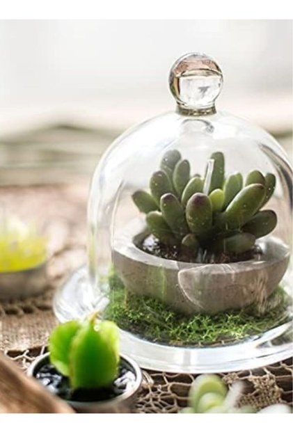 Glass Covered Dessert Tray Clear Dome Lid Stand for Fruit Cupcakes Mini Snacks Serving 12cm