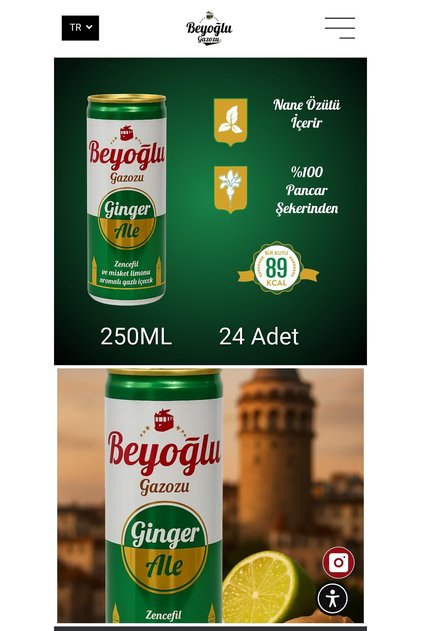 Gazoz Ginger Ale 250 Ml X 24 Adet