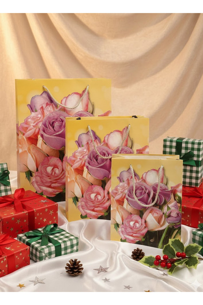 Paper gift bags, 3 pieces, in different sizes and multiple colors, Ar-14270