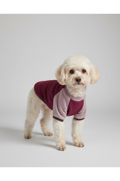 Parçalı Polarlı Köpek Sweatshirt