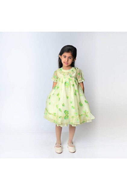 Apple-colored embroidered dress