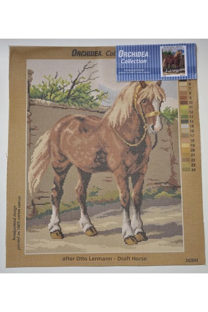 Tapiserie 3420M 40x50