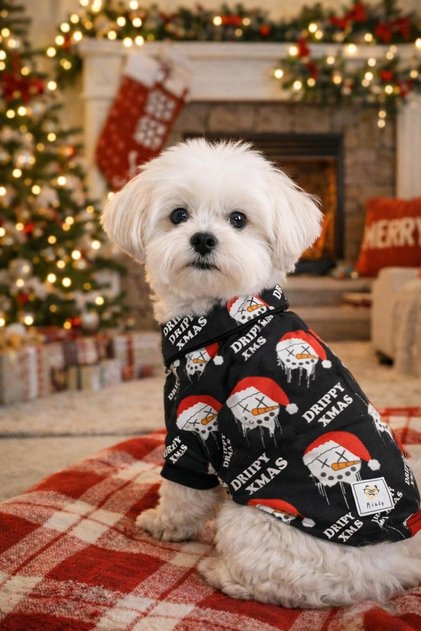 Miniş Drippy Santa Small Breed Dog Christmas Shirt
