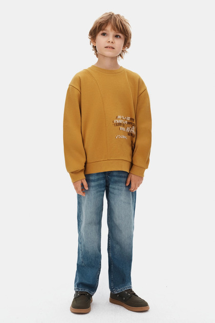 Boy's Sweatshirt 8-14 Years 49301