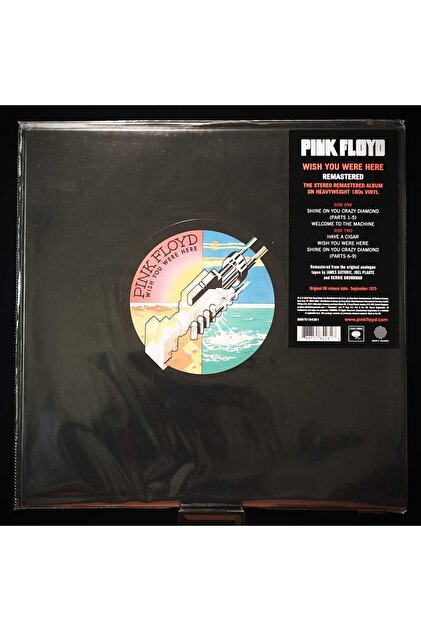 Genel Markalar Pink Floyd-wish You Were Here Plak - Fiyatı, Yorumları
