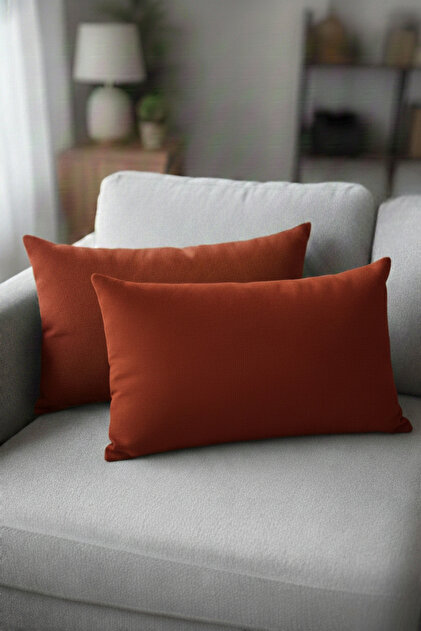 Set of 2 Throw Pillows Special Design Throw Pillow Decorative Pillow Face Soft Textured Throw Pillow 30 X 50