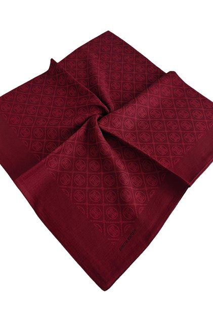 Elegant Scarf 1090750-941