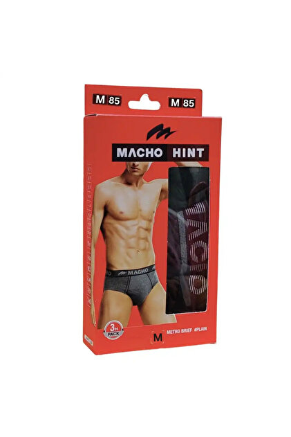 Hint 3pcs Mens Brief Underwear Pack In Assorted Color- Medium