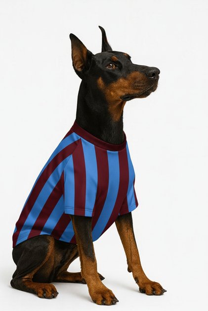 Cat-Dog Fan Jersey Burgundy Blue - Large Breed