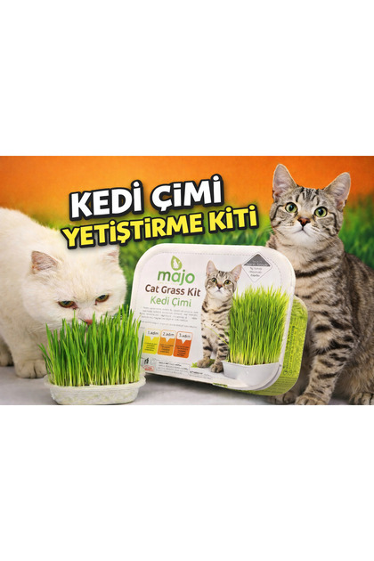 Cat Grass Kit Kedi Çimi – Evde Kolay Yetiştirme – Doğal Kedi Otu