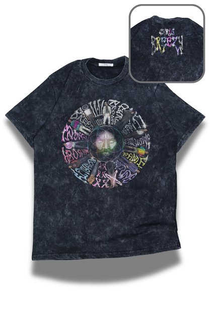 Unisex Chris Breezy Ense Printed Washable T-Shirt, Oversized Chris Brown Themed Vintage Tee Shirt