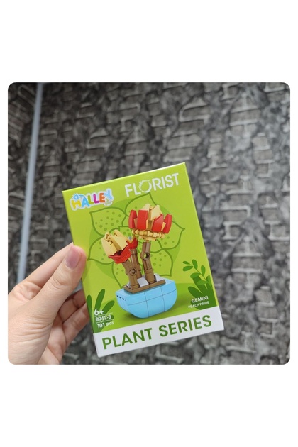 senacacollection 1 ADET Florist Çiçek Yapı Oyuncak - Fiyatı, Yorumları