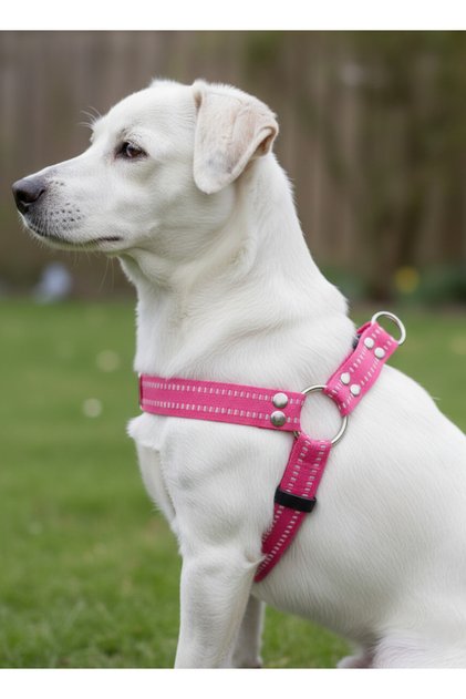 Dog Chest Harness Adjustable Small and Large Breed Collar Cord Pink
