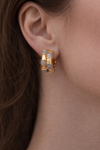 Steel Ring Special Series Earrings