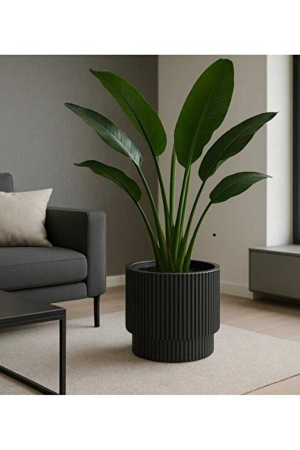みかも石⑥　30cm超 大・中サイズ25kg未満セット POLİVAHOME Vega Model Büyük Dekoratif Modern Saksı Ve Vazo 30 Lt