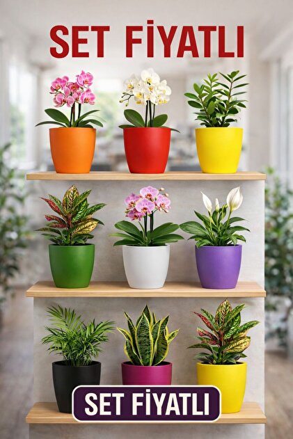Plant Home Power Mix 5'li Orkide Dekoratif Saksı Seti 1,25 L