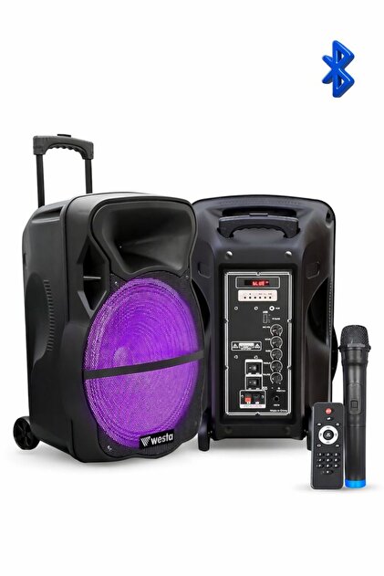 Westa WAP-1053E Portatif Ses Sistemi Telsiz Mikrofonlu 10