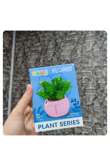 senacacollection 1 ADET Florist Çiçek Yapı Oyuncak - Fiyatı, Yorumları