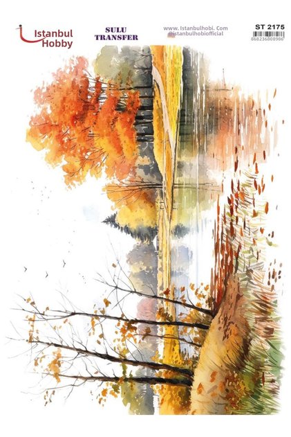 Water Transfer Paper 25X35Cm St-2175