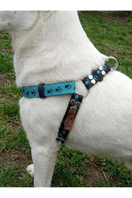 Dog Chest Harness Adjustable Medium & Large Breed Colone Cord Paw Patterned Turquoise & Black