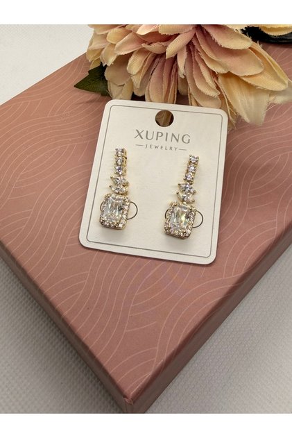 Baget Zircon Stone Hanging Steel Earrings