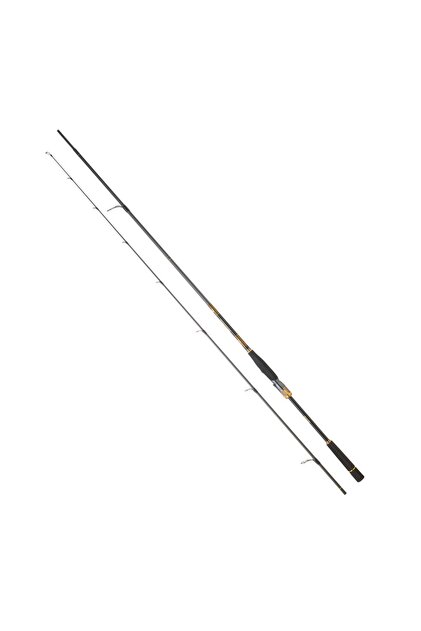 Apia Foojin'Z 6th Generation Angel Shooter S96M 2.89m 8-42gr Spin