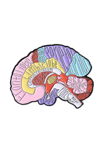 Style 1 Labeled Brain Heart Anatomy Enamel Pins Human Organ Medical Model Brooches Lapel Badge Jewel