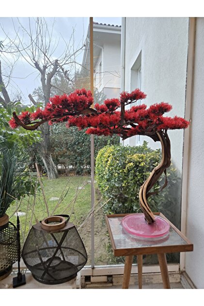 Decoroon El Yapm Gerek Aa Gvdeli Krmz Yapay Bonsai  Epoksi  Tabanl Lks Dekor - Fiyat, Yorumlar