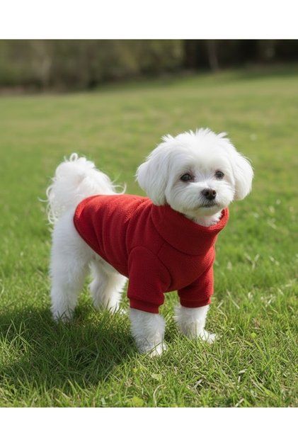 Welsoft High-Necked Dog Clothes Soft Plush Basic Dog Sweater