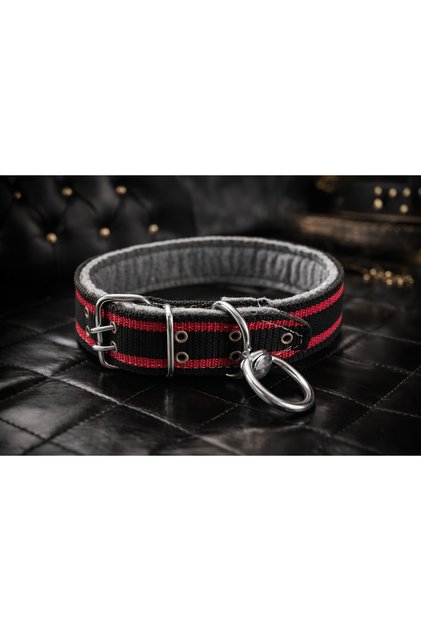 5 cm Dog Leash | Kangal and Similar Breeds of Dogs