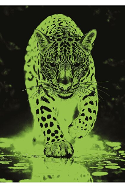 Art Puzzle Mavi Jaguar 1000 Parça Neon Puzzle - Fiyatı, Yorumları