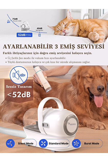 10.22 フライングホヌ ターコイズグリーン 1/150 Greenwich Zero Point of Beauty Greenwich Tüy Tıraş Makinası